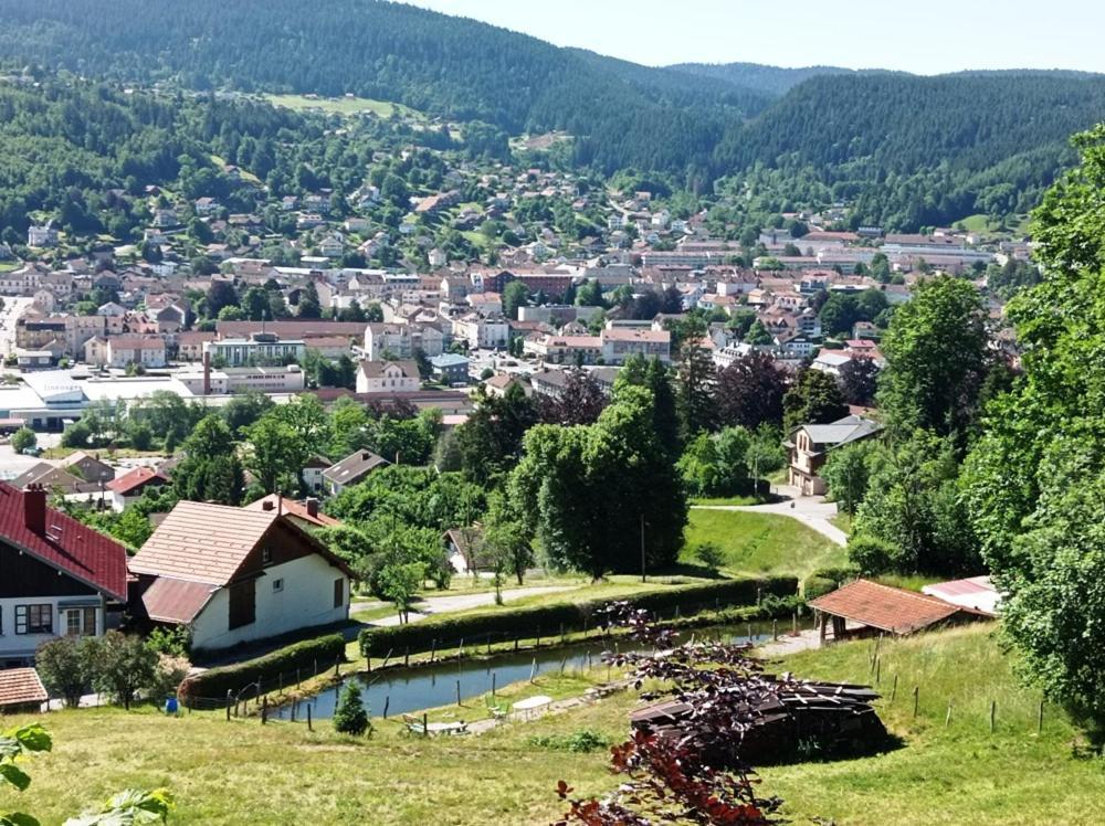 Chalet De Standing 14 Personnes Gérardmer Esterno foto